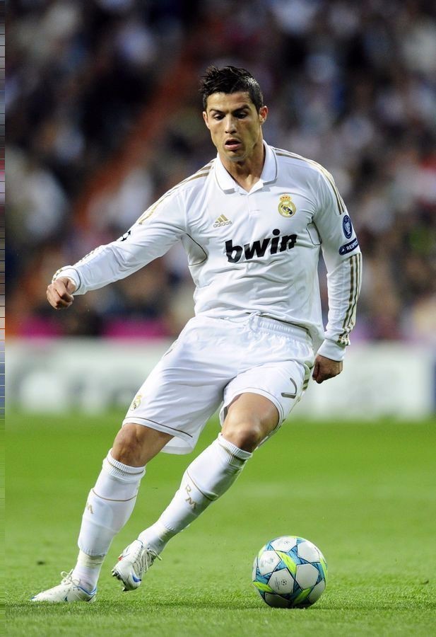 将为观众奉 将为观众奉