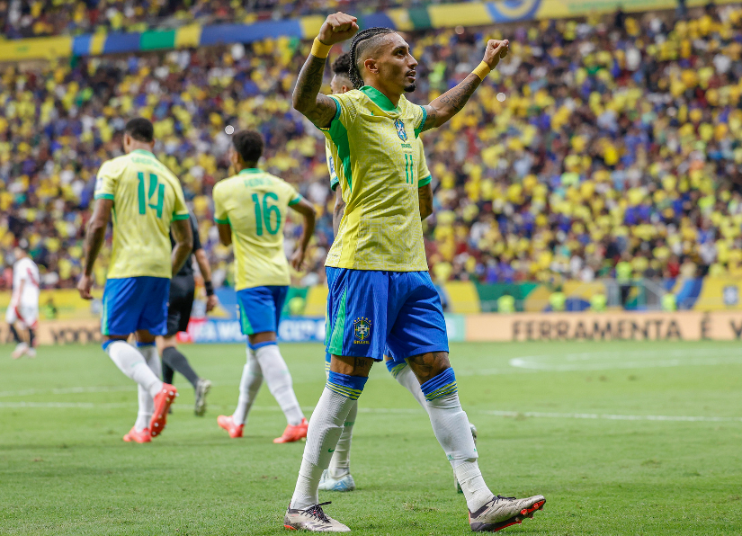 的分析数据 的分析数据