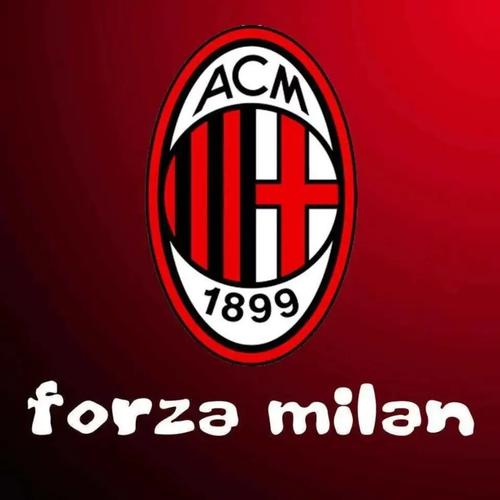 抗中的阵容 抗中的阵容