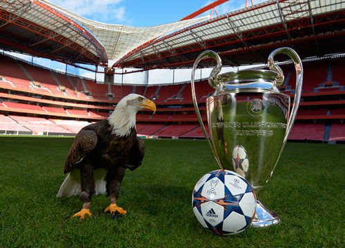 在技术细节 在技术细节